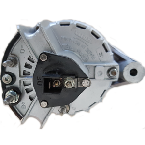 ALT22 - Reman Δυναμό 14V 36A Universal Τρακτέρ Ανακατασκεύη - Image 2